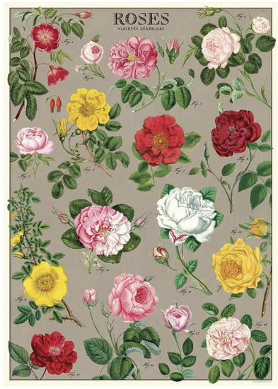 Roses Poster - 20x28in