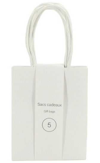 Ens. 5 sacs minis kraft blanc