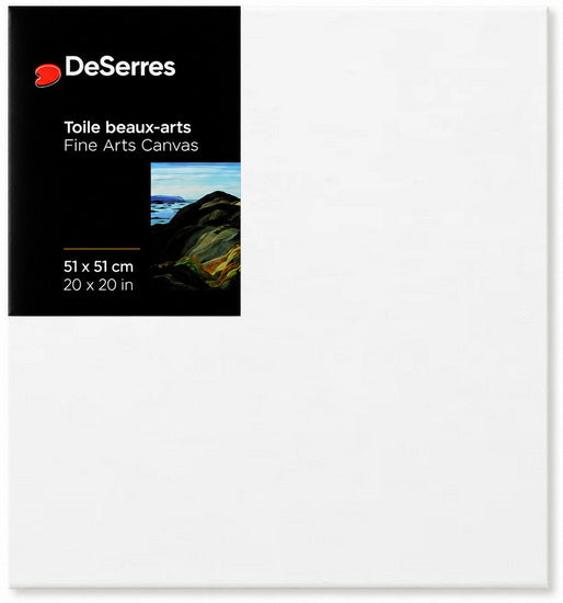 Fine Arts Canvas 20 x 20 x 3/4 in