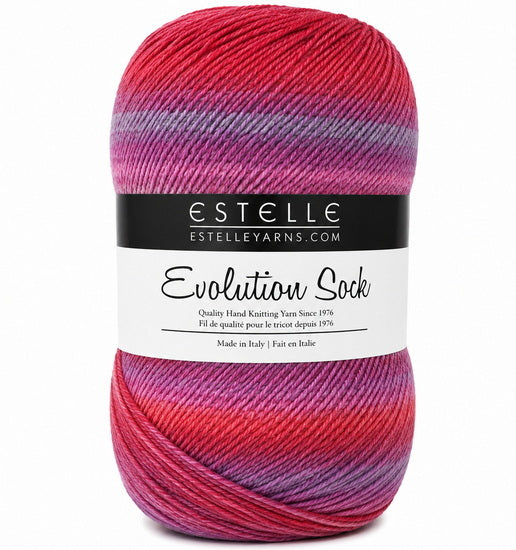 Fil evolution socks #1 100g bordeaux