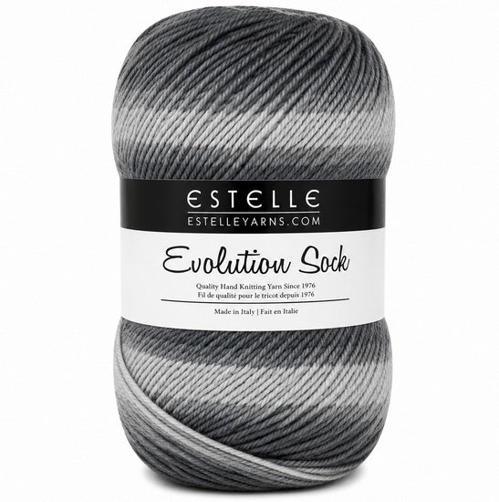 Fil evolution socks #1 100g nuances de gris