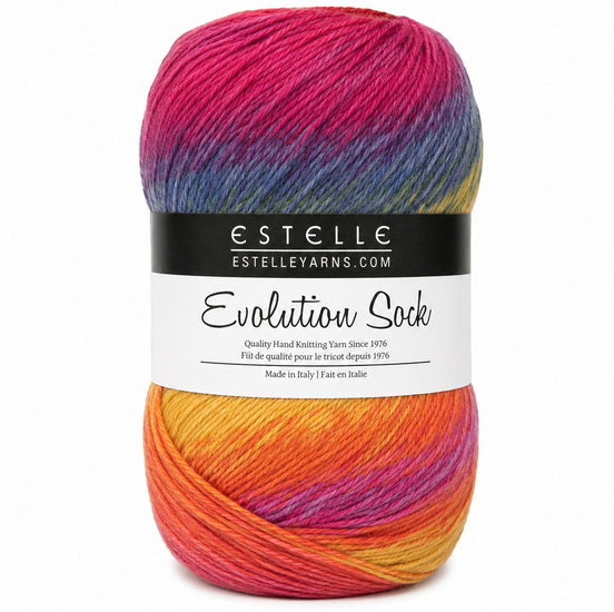 Fil evolution socks #1 100g arc-en-ciel