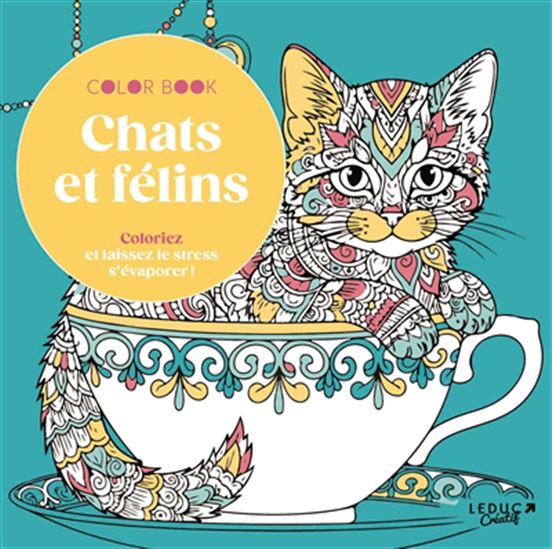 Chats et félins