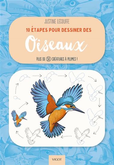 10 étapes pour dessiner des oiseaux : plus de 50 créatures à plumes !