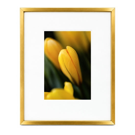 Cadre photo aluminium entre deux vitres or - 8x10 po