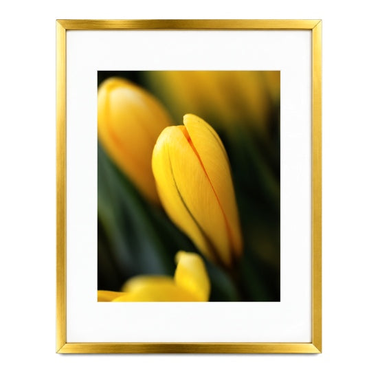 Gold Floating Aluminium Photo Frame - 11x14"