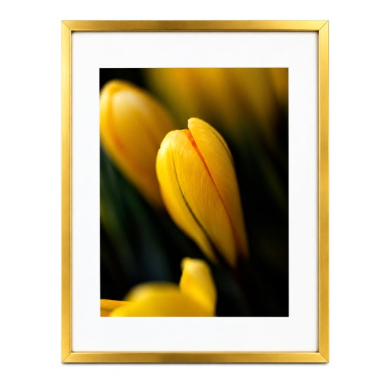 Cadre photo aluminium entre deux vitres or - 12x16 po