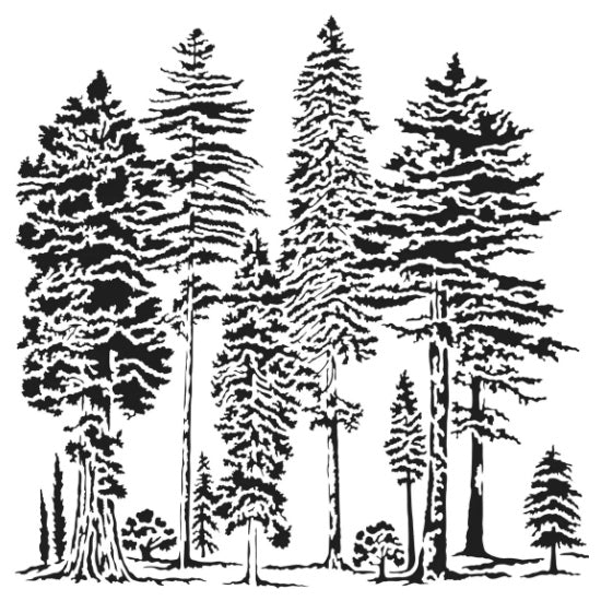 Pochoir forêt - 6x6po