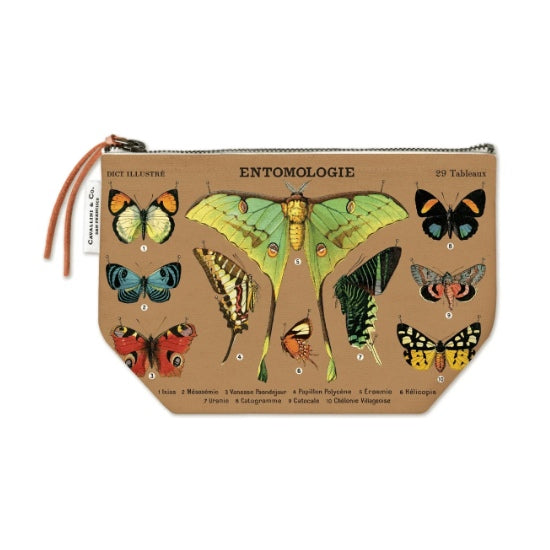 Trousse vintage entomologie