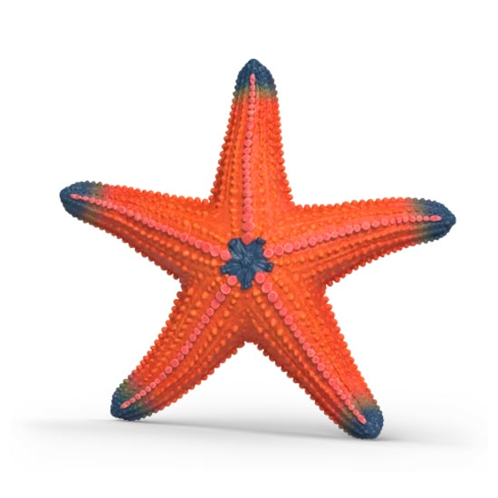 Figurine color changing starfish