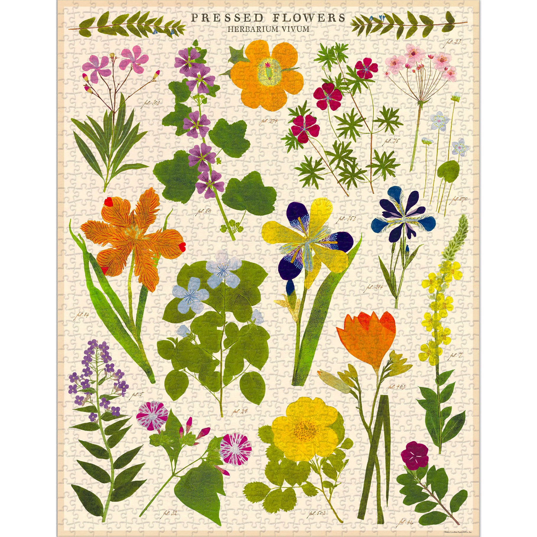 Vintage Puzzle - Pressed Flowers, 1,000 Pieces | DeSerres