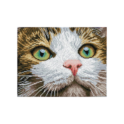 Kit créatif Diamond Dotz - beauté aux yeux verts