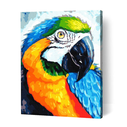 Paint by Number Kit - "Macaw Portrait"