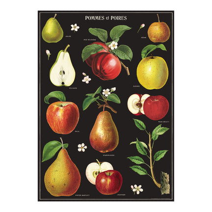 Decorative Wrap - Apples & Pears