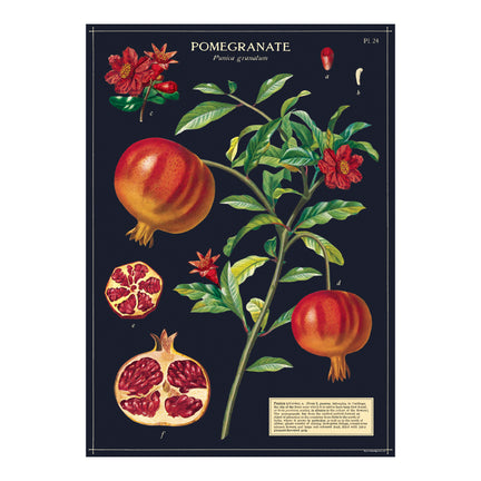 Decorative Wrap - Pomegranate