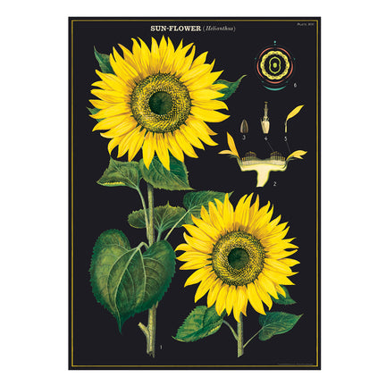 Decorative Wrap - Sunflower