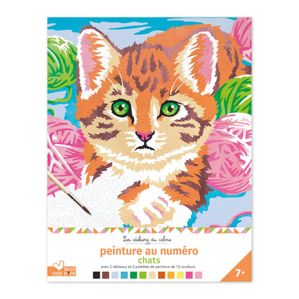 Tableau peinture au numéro pour enfant César le chat