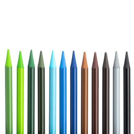 Ensemble De Crayons De Couleur,24 Crayons De Couleur,Crayons De