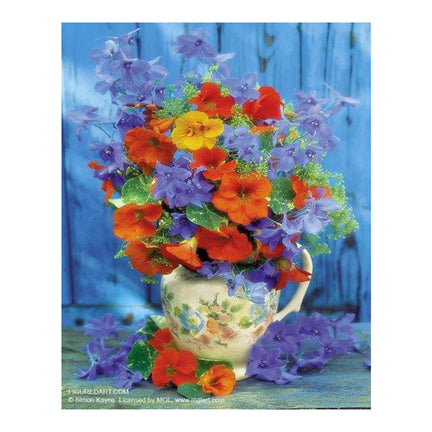Paint by Numbers Kit - "Colourful Bouquet"