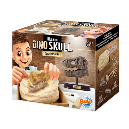 Museum Dino Skull Kit - Tyrannosaurus