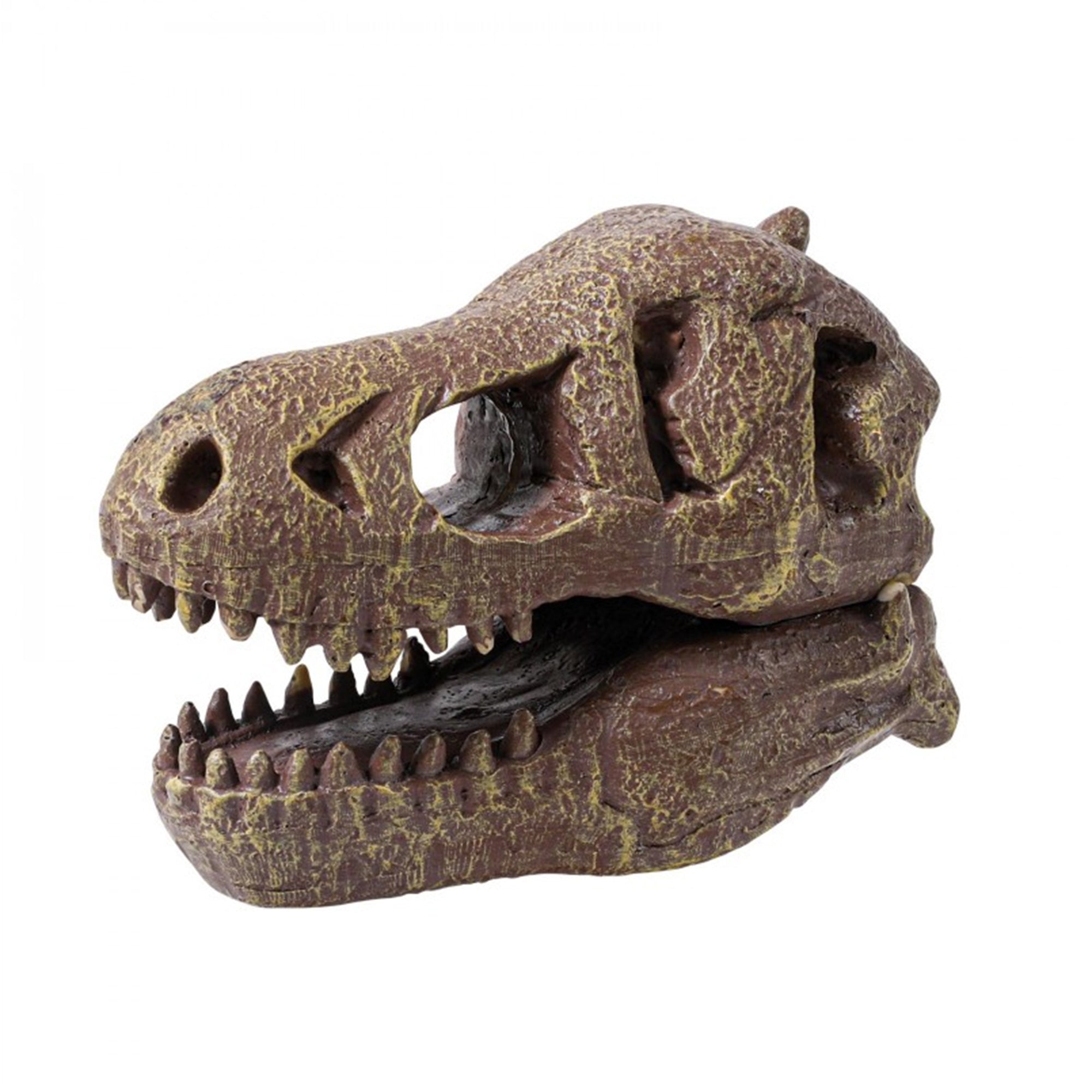 Museum Dino Skull Kit - Tyrannosaurus | DeSerres