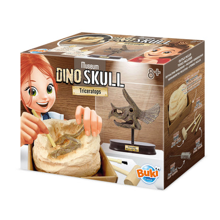 Museum Dino Skull Kit - Triceratops
