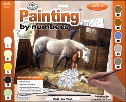 Large senior New Friends paint by Numbers kit