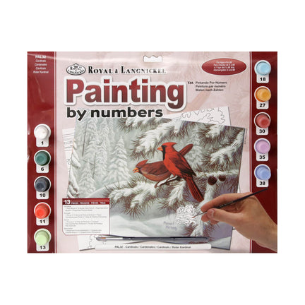 Paint by Numbers — Cardinals