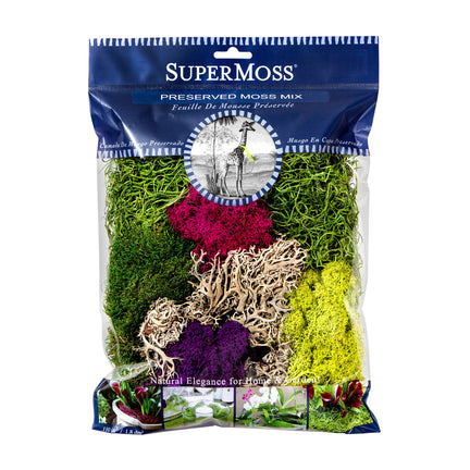 Natural Moss Mix - Assorted Colours & Textures