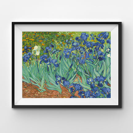Paint by Numbers Kit - "Irises, Vincent van Gogh"