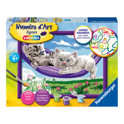 Medium Paint By Numbers - "Kitten in a Hammock"