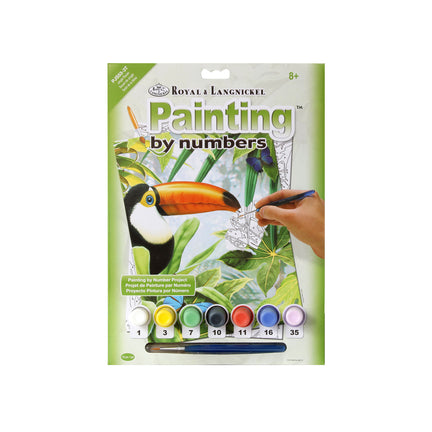 Junior Paint by Numbers – Jungle Toucan