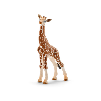 Animal Figurine - Giraffe Calf